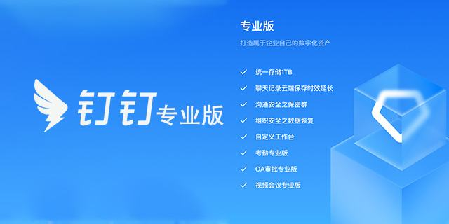 钉钉专业版怎么升级快点（钉钉软件如何升级）